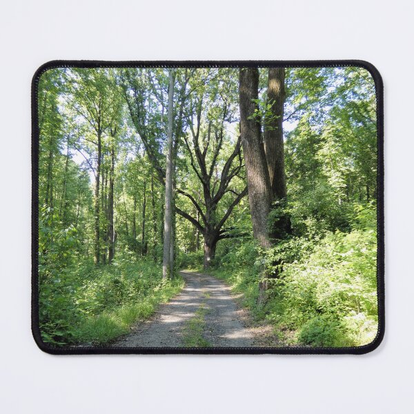 Item preview, All Paths Lead to Trees designed and sold by Kimmary.