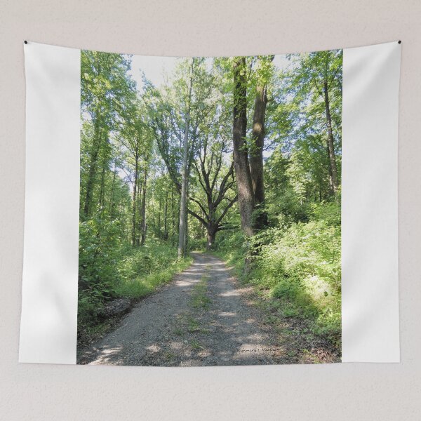 Item preview, All Paths Lead to Trees designed and sold by Kimmary.