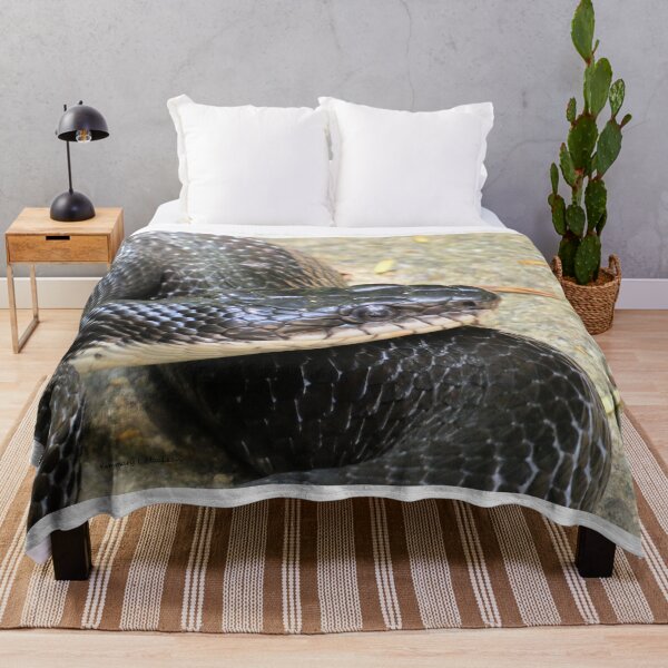 Item preview, Black Rat Snake at Rest designed and sold by Kimmary.