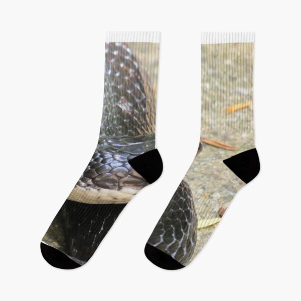 Item preview, Black Rat Snake at Rest designed and sold by Kimmary.