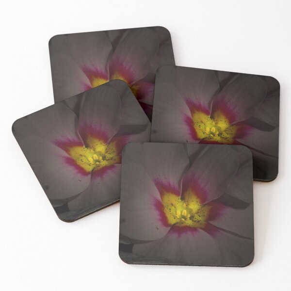 Artikelvorschau, pink Blossom entworfen und verkauft von Shadow3561.
