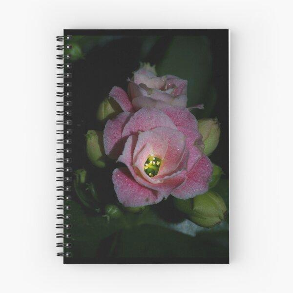 Artikelvorschau, pink Blossoms entworfen und verkauft von Shadow3561.