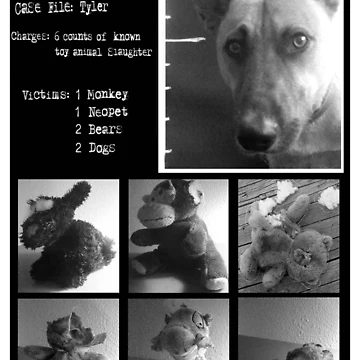 Artwork thumbnail, Victims Unit by Gozza