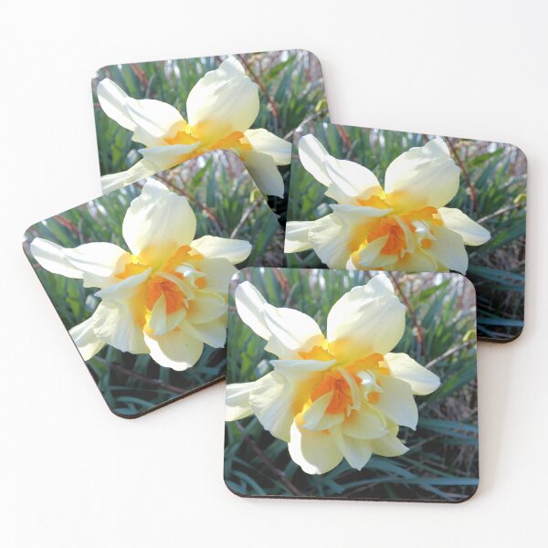 Item preview, Dance of the Double Ruffled Daffodil designed and sold by Kimmary.