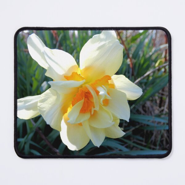 Item preview, Dance of the Double Ruffled Daffodil designed and sold by Kimmary.