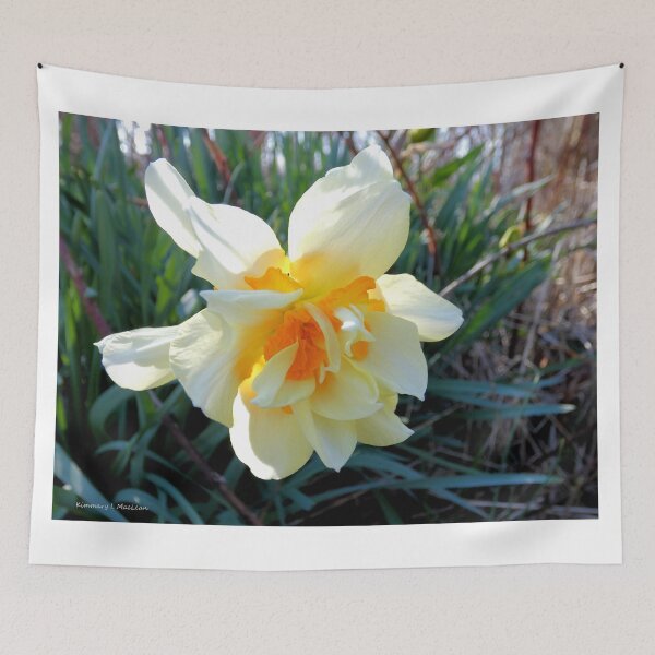 Item preview, Dance of the Double Ruffled Daffodil designed and sold by Kimmary.