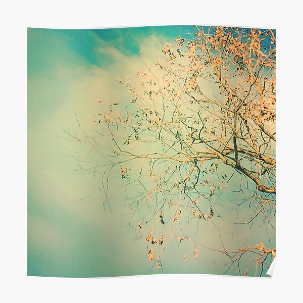 Teal Sky Autumn Poster