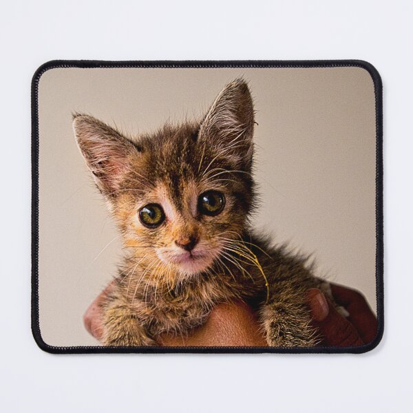 Item preview, The Defenceless Need Fostering designed and sold by alabca.