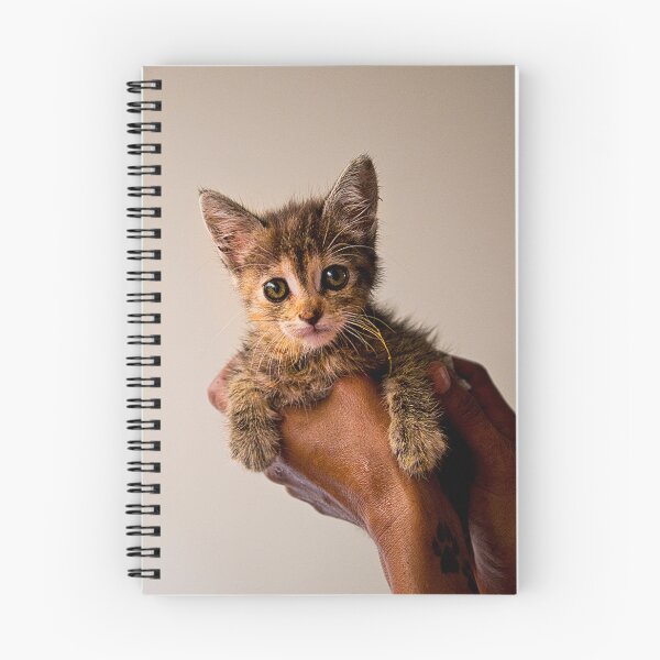 Item preview, The Defenceless Need Fostering designed and sold by alabca.
