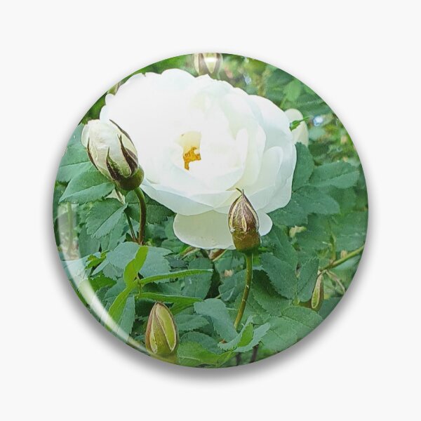 Item preview, Midsummer rose designed and sold by AnuAmelii.