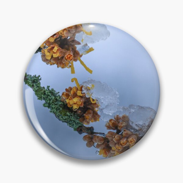 Item preview, Ice on a branch designed and sold by Anita van Gendt.