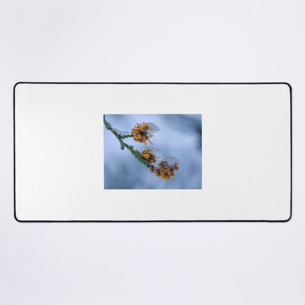 Item preview, Ice on a branch designed and sold by Anita van Gendt.