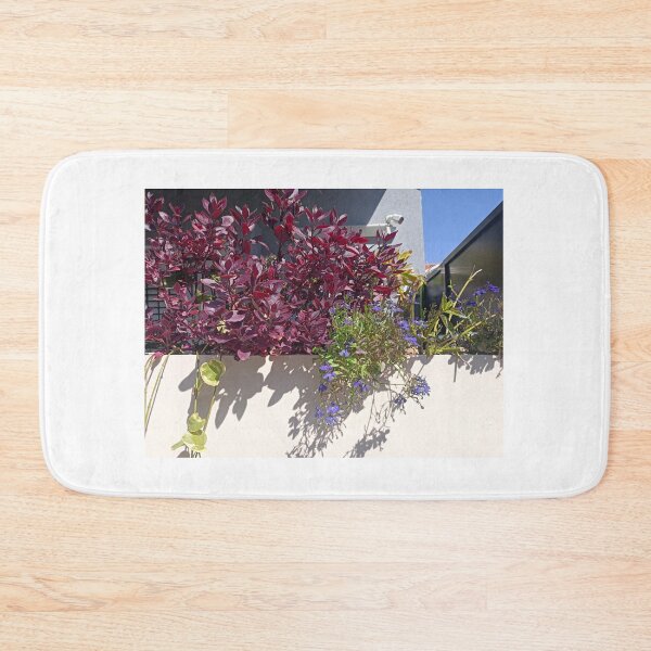Item preview, Balcony in Neve-Zedek designed and sold by GoldsteinART.