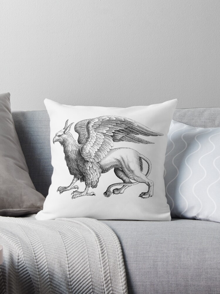 https://ih1.redbubble.net/image.481298841.1081/throwpillow,small,750x1000-bg,f8f8f8.u2.jpg