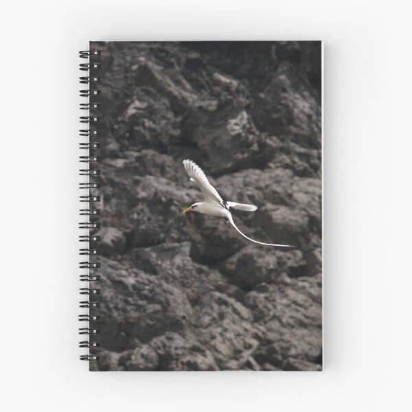 Item preview, Flight of straw in tail designed and sold by David SINIGAGLIA.
