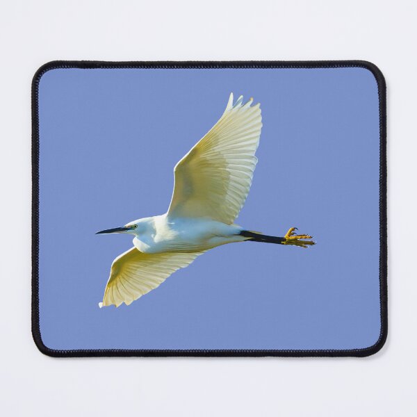 Item preview, Little Egret in flight designed and sold by Dalyndigital Photography.