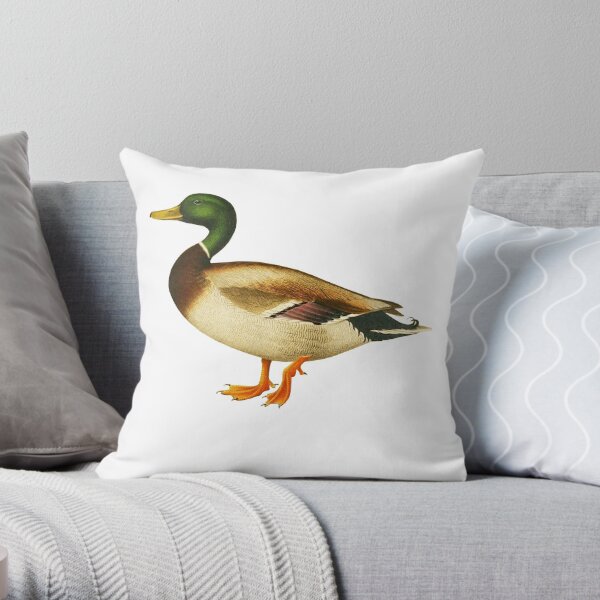 https://ih1.redbubble.net/image.481301955.1170/throwpillow,small,600x-bg,f8f8f8-c,0,120,600,600.u5.jpg