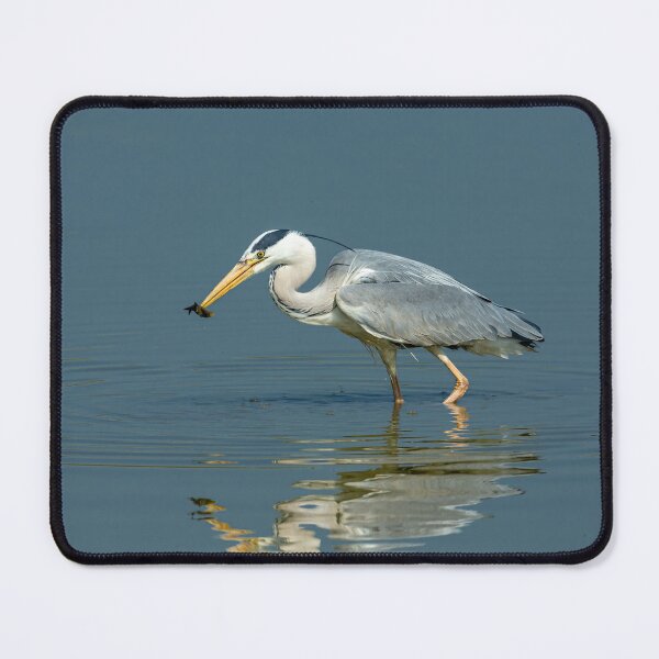 Item preview, Reflections of a Heron with a small fish designed and sold by Dalyndigital Photography.