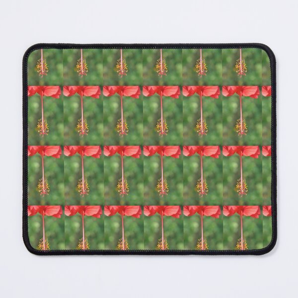 Item preview, Hibiscus rosa-sinensis in blurred background designed and sold by kstanvir.