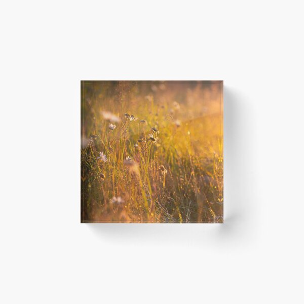 Item preview, First light  designed and sold by Tabitha Snelgrove.