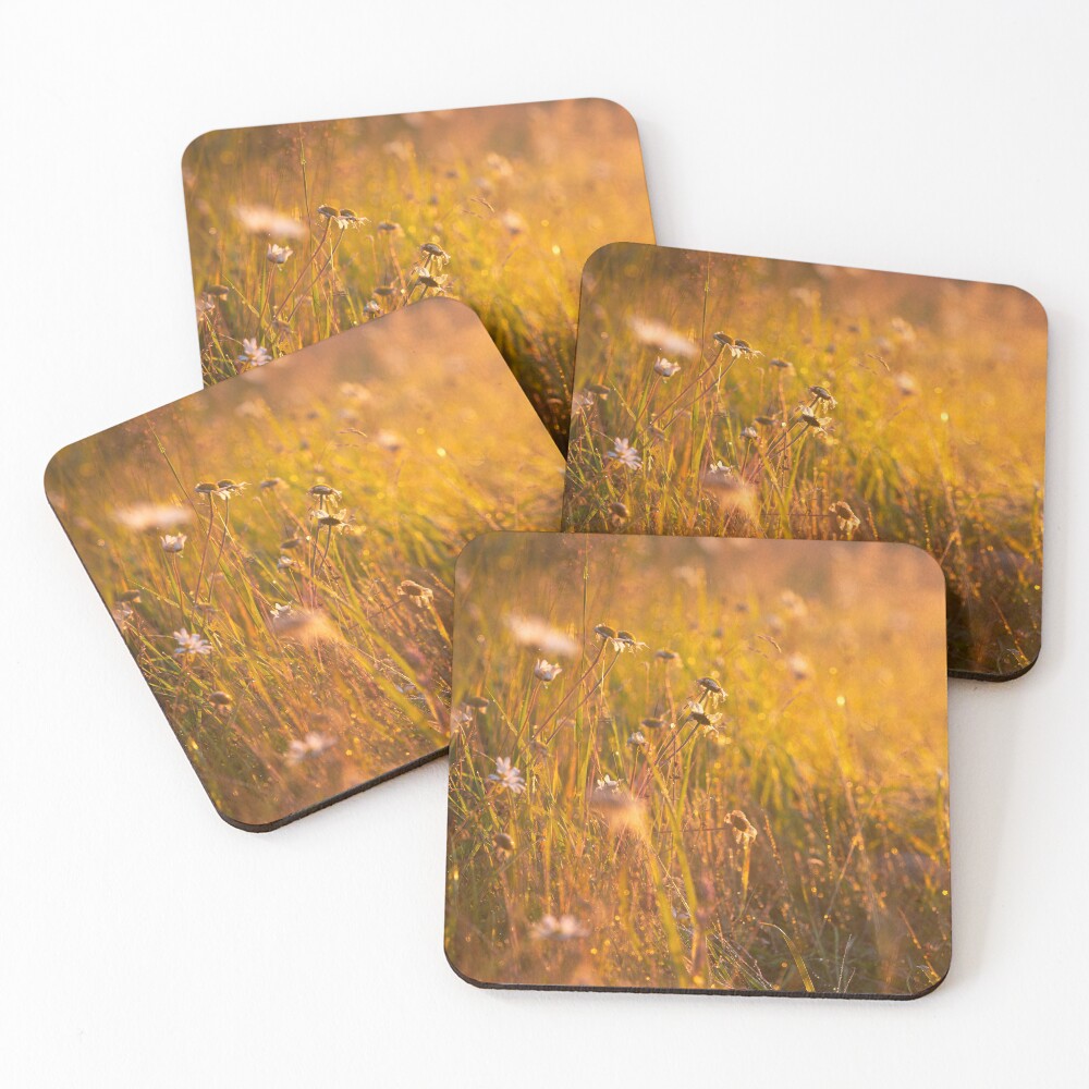 Item preview, Coasters (Set of 4) designed and sold by tabtabs.