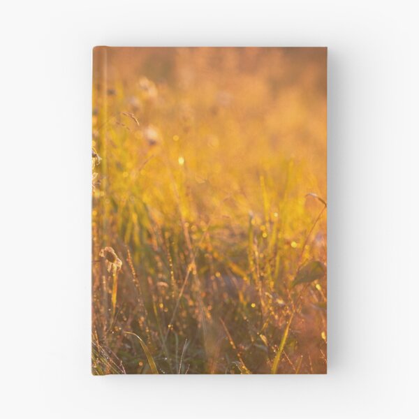 Item preview, First light  designed and sold by Tabitha Snelgrove.