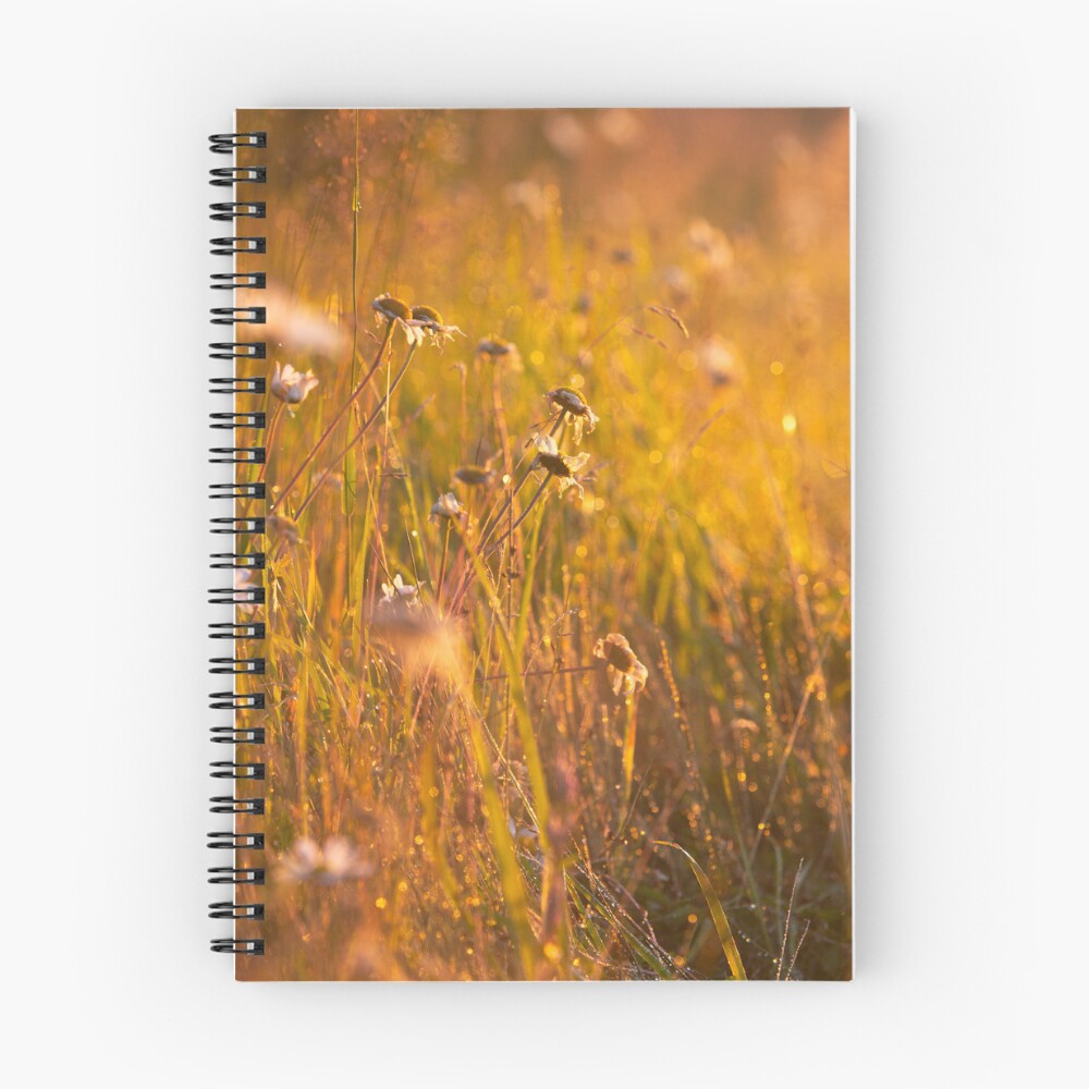 Item preview, Spiral Notebook designed and sold by tabtabs.