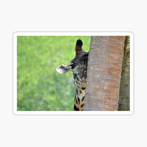 Giraffe Sticker