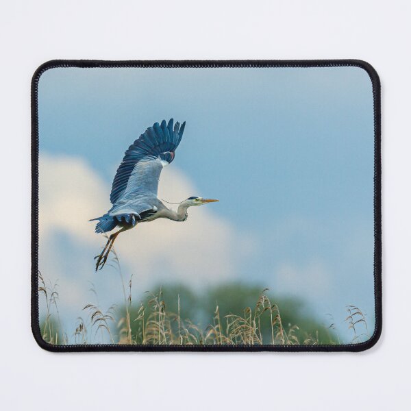 Item preview, Heron flying against a background of reeds designed and sold by Dalyndigital Photography.