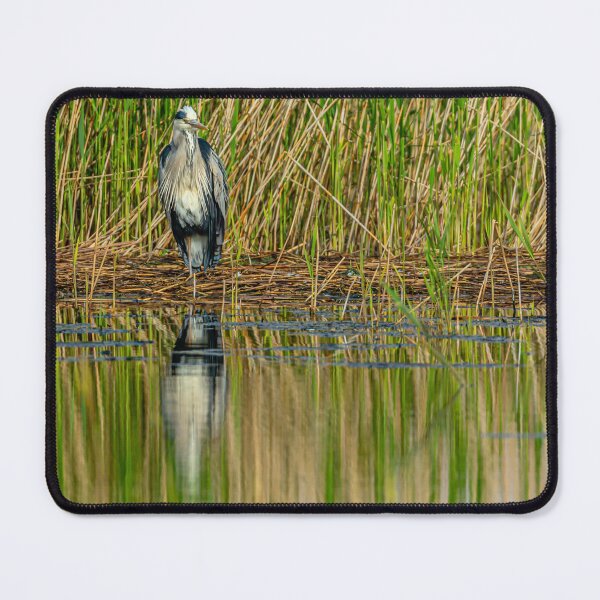 Item preview, Heron reflections designed and sold by Dalyndigital Photography.