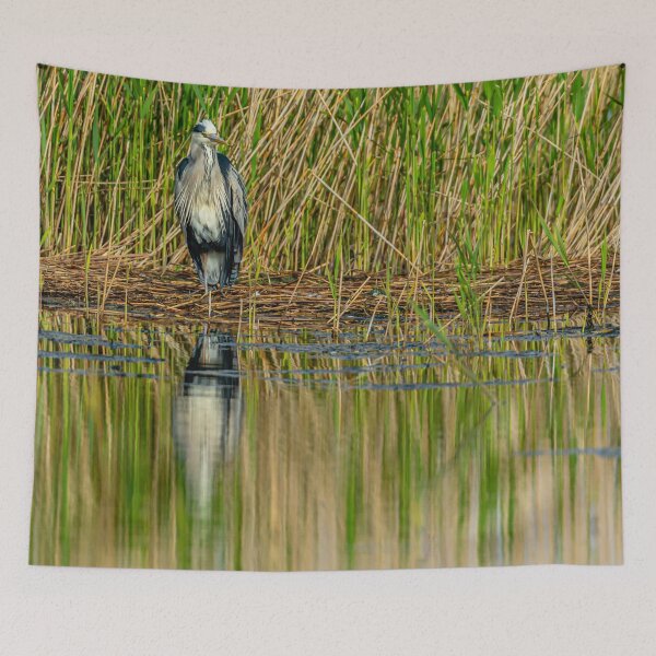 Item preview, Heron reflections designed and sold by Dalyndigital Photography.