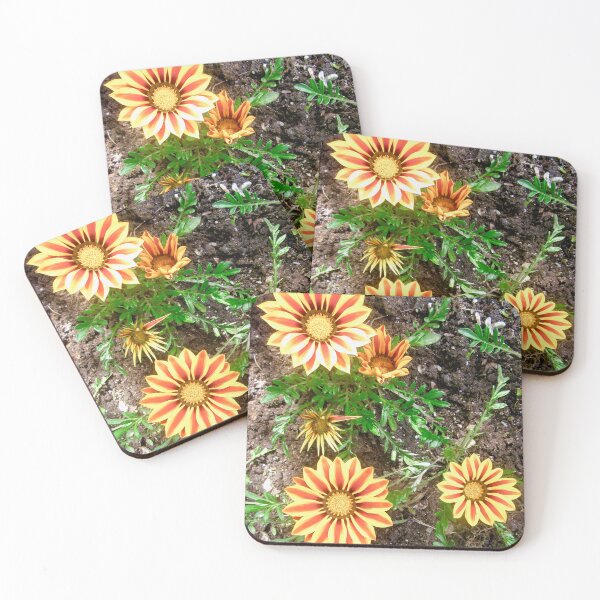 Item preview, Striped daisies designed and sold by Shulie1.