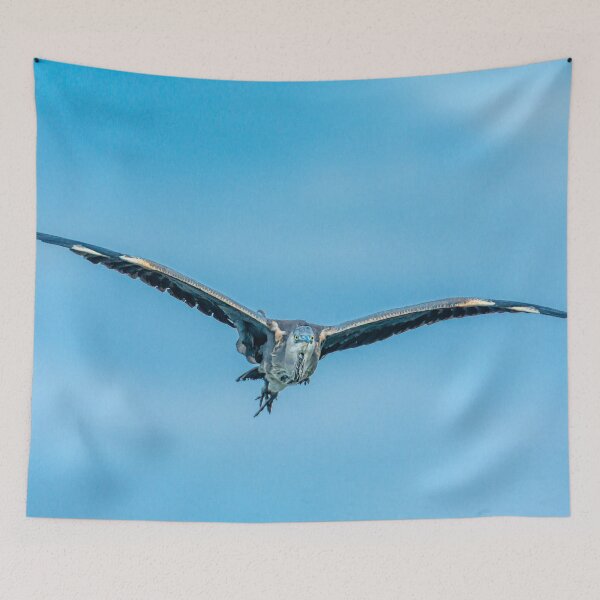 Item preview, Heron coming at you designed and sold by Dalyndigital Photography.