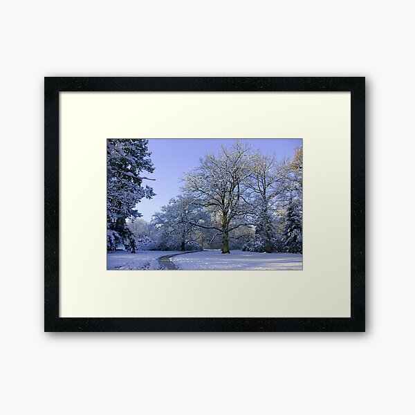 Path through Winter Wonderland Framed Art Print