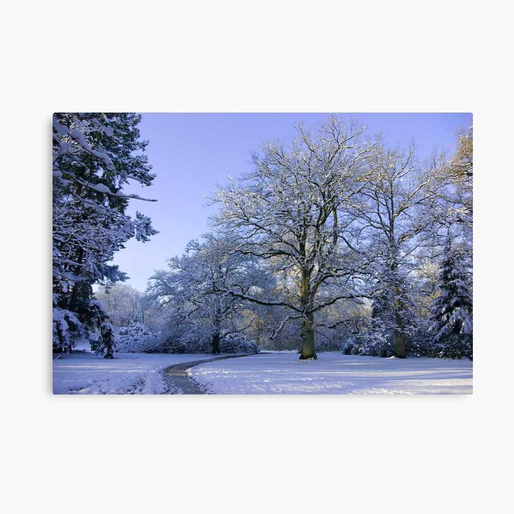 Path through Winter Wonderland Canvas Print