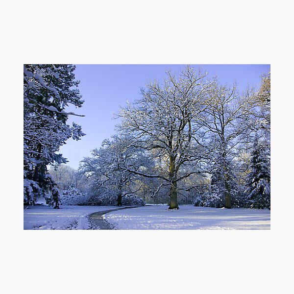 Path through Winter Wonderland Photographic Print