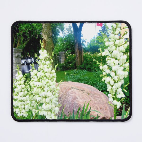 Item preview, Beautiful white flowers designed and sold by Shulie1.