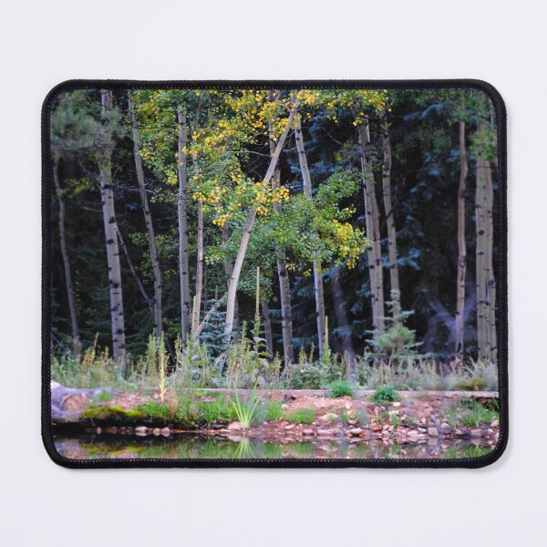 Item preview, Aspen Reflection designed and sold by EarthUnlocked.