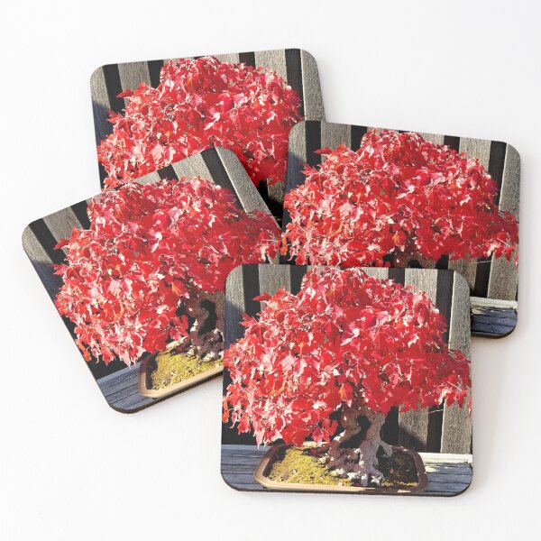 Item preview, Autumn Bonsai Maple designed and sold by bjtomiko.