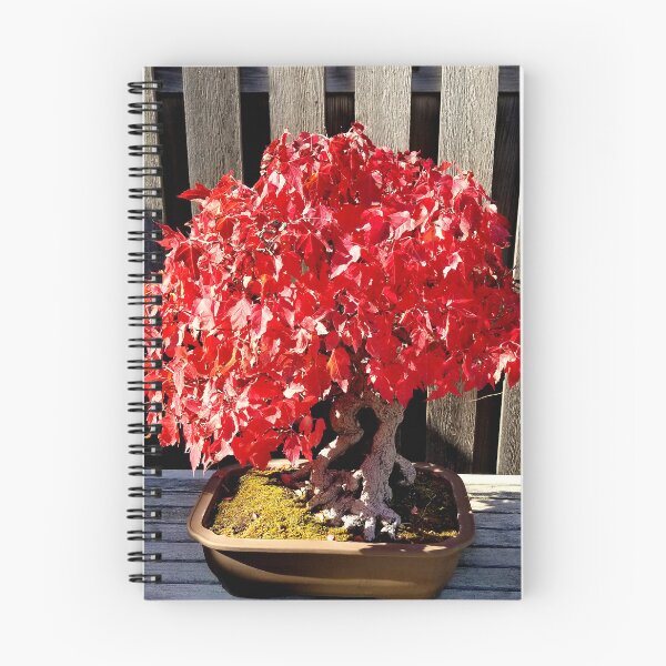 Item preview, Autumn Bonsai Maple designed and sold by bjtomiko.