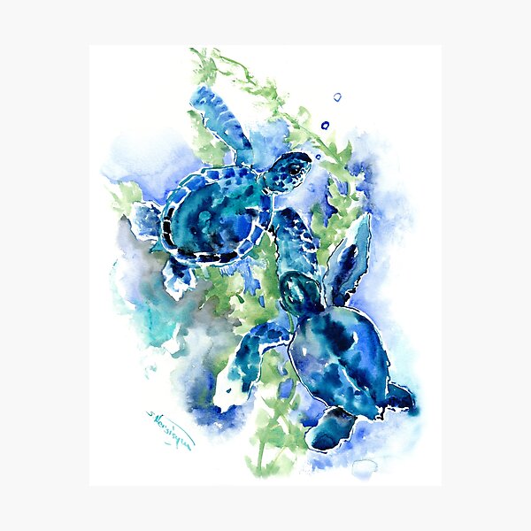Sea Turtles Turquoise BLue design Photographic Print