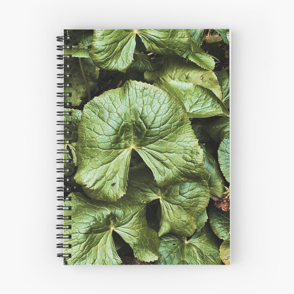 Aperçu de l'œuvre Jardin Botanique Plante Vintage créée et vendue par DesignsByMeela.