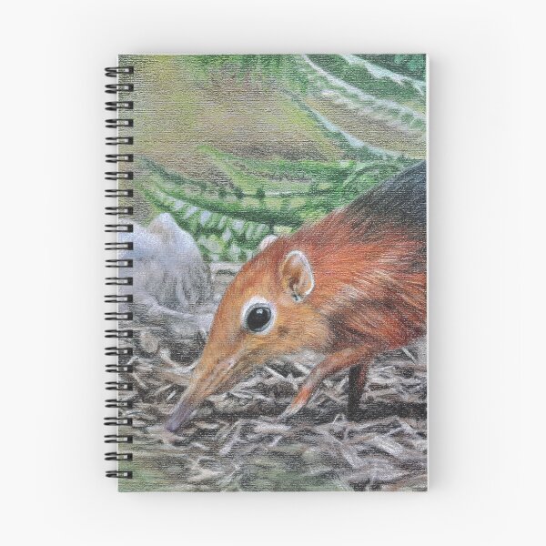 Item preview, Black and rufous sengi designed and sold by BeckyKidus.