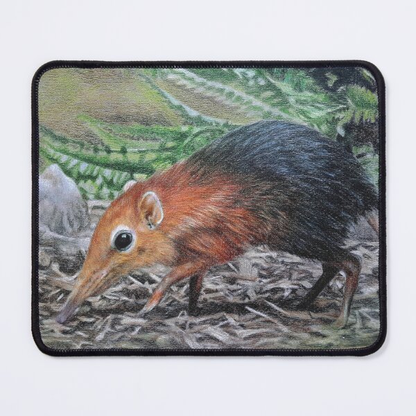 Item preview, Black and rufous sengi designed and sold by BeckyKidus.