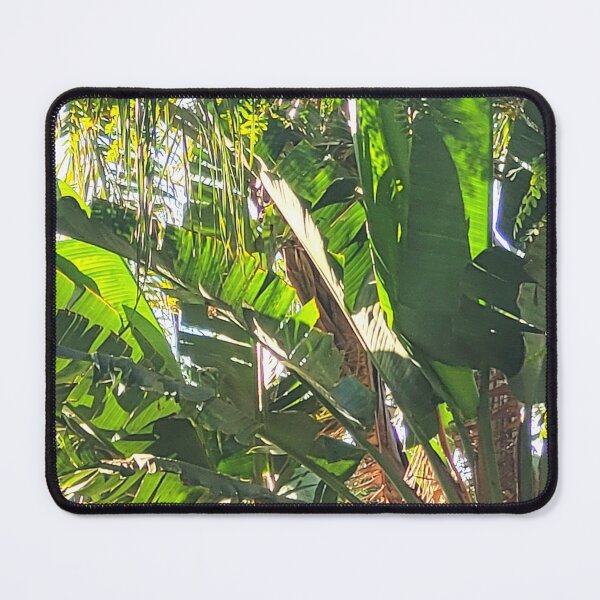 Item preview, palm trees designed and sold by Bethan Rose Studio.