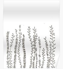 Pflanzen Poster