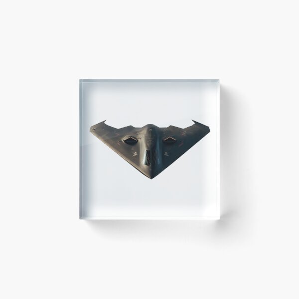 Item preview, Stealth Bomber / Fighter Plane Concept designed and sold by BeachBumPics.