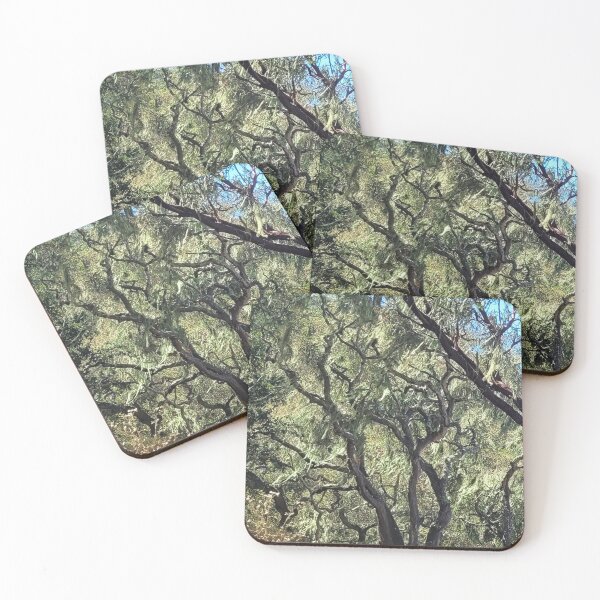 Item preview, trail track designed and sold by Bethan Rose Studio.