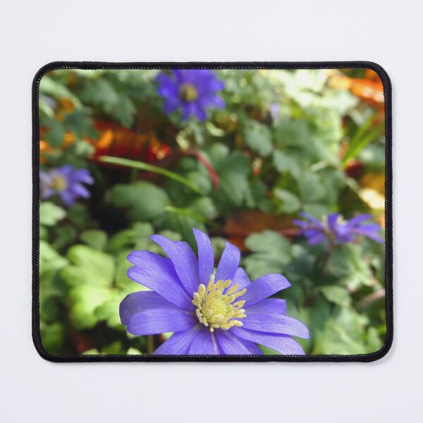 Item preview, Wells, some under appreciated backstreet flowers designed and sold by JonDelorme.