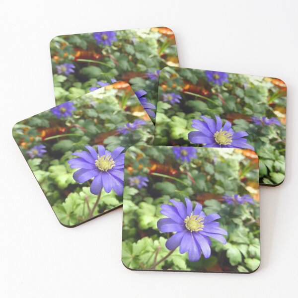 Item preview, Wells, some under appreciated backstreet flowers designed and sold by JonDelorme.